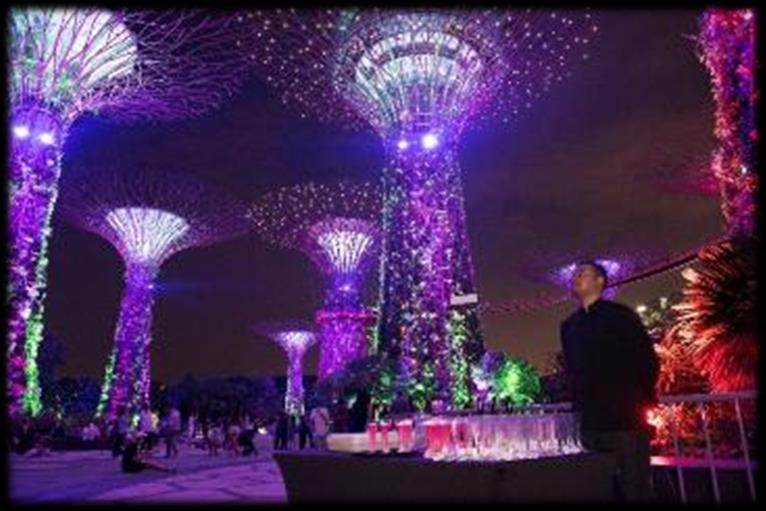 the Supertrees in a musical display of special effects.