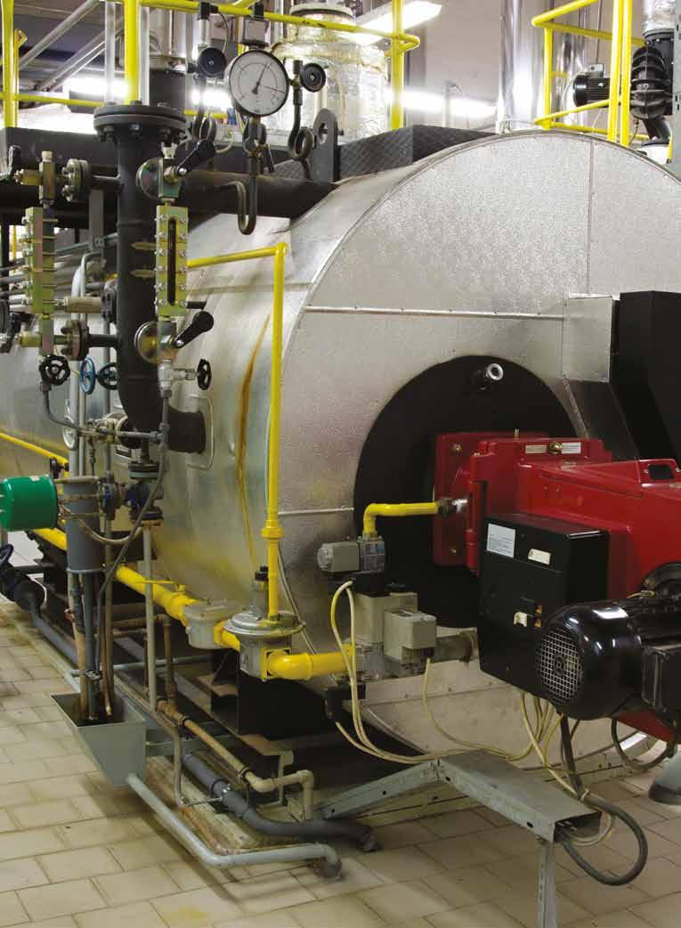 Steam boiler applications Catalytic and magcat treatment have been used very successfully to treat steam boilers and in some cases a boiler operator can recover cost of installation in a short period
