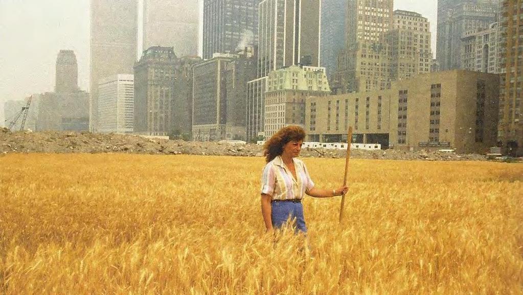 wheatfield - A confrontation (1982) a two-acre wheatfield in