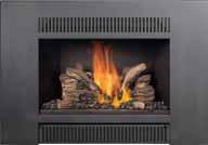 and Finish Options Choice of Fires Choose from three completely