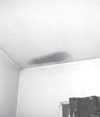 OCCUPANTS The mould area is small if there are one, two or three patches of mould and each patch is smaller than one square metre (1 m x 1 m). Mould on window sills are usually small areas.