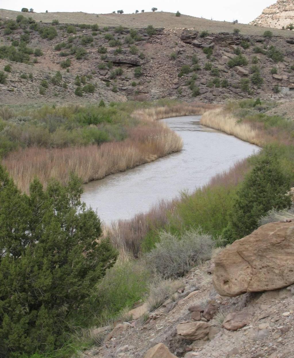 Ecological Goals Riparian areas throughout the watershed will be dominated by native vegetation.