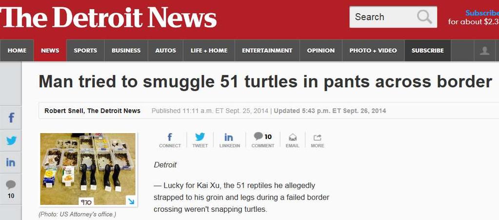 Google airport turtle pants Detroit News