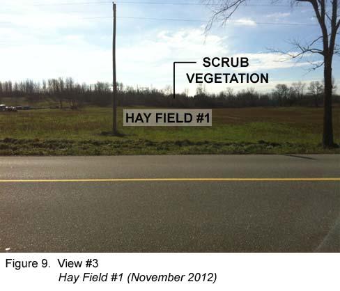 3. Hay Field #1 At the north end of the subject property is a flat existing hay field.