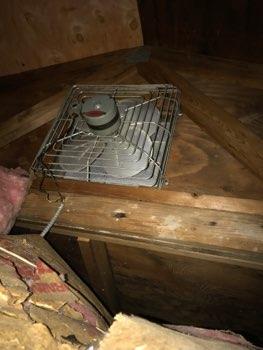 Normally vents should be placed equally at high and low areas so that cross ventilation is achieved.