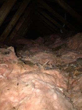 Newer requirements are R49 insulation content. 6. Rodent Indications of Rodent activity.