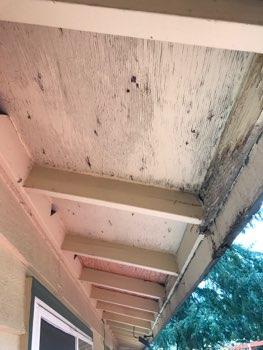 SW corner Indications of water running in behind gutters, staining on the