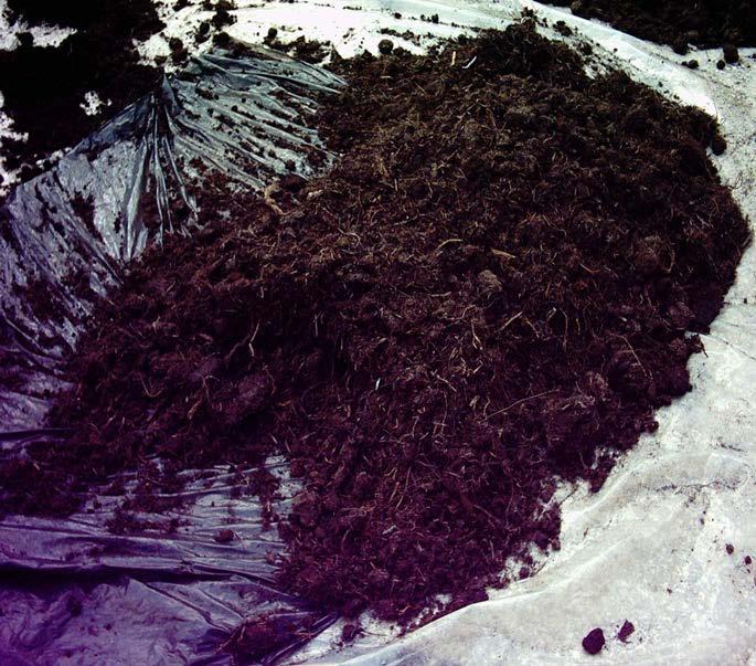 Before beginning the experiment, domestic Akgöl organic soil was adjusted to