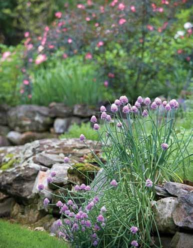 Moulton and Paquette designed several perennial gardens, which are gracefully tucked into rocky ledges and add pops of color around the front of the house.