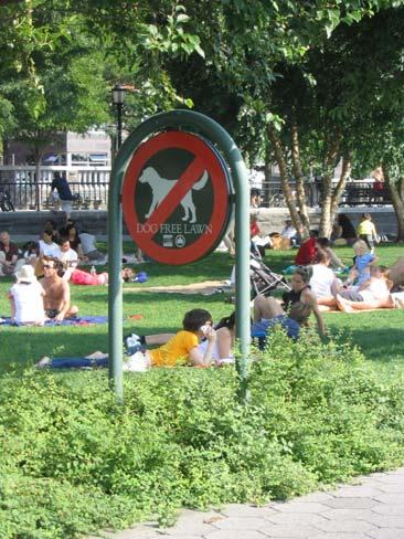 Dell. Example of a dog-free lawn area in New York City.
