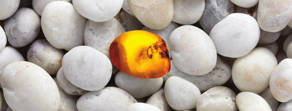 MEET THE TOP-GRADE JEWEL IN AIR HANDLING To achieve its perfect form, amber has gone a long way as it matured from shapeless sap to a nugget that becomes a real work of art in the hands of a skilled