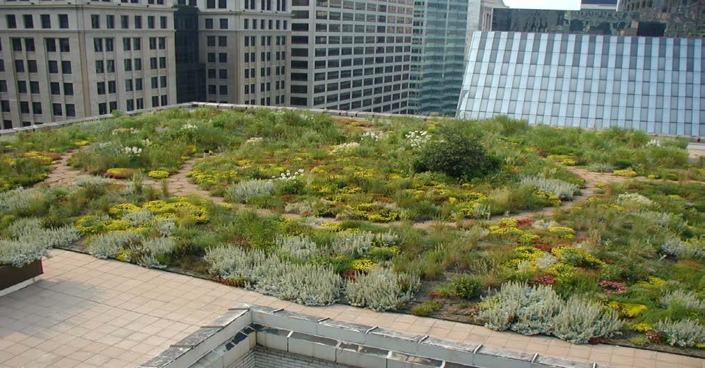 Chicago, Illinois Chicago City Hall Green Roof. Photo courtesy of Roofscapes, Inc. More than 80 green roofs totaling over 1 million square feet.