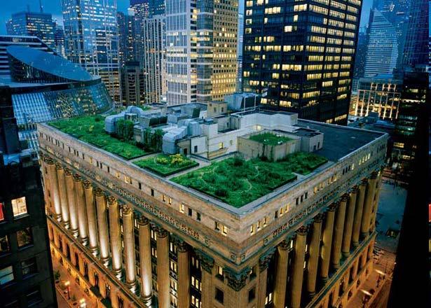 Green Roofs Can Be as Big as the one on the top of