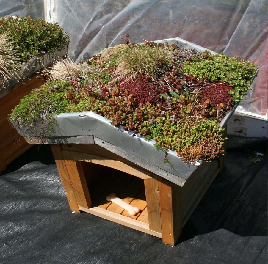 Green Roofs or as small as
