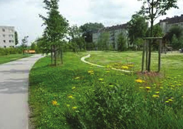 SuD s Drainage Systems Natural Playscapes/Pocket Parks Green Infrastructure - The construction