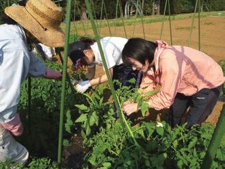 IBARAKI UNIVERSITY AIMS PROGRAM Department introduction College of Agriculture Solving problems related to food safety, human life, and environmental conservation through total life science solutions