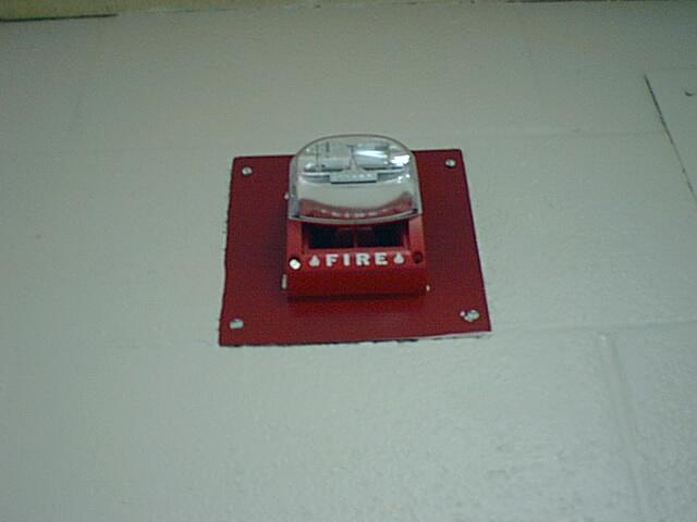FIRE HORN/STROBE LIGHT Fire horns and strobe lights are activated when the fire alarm