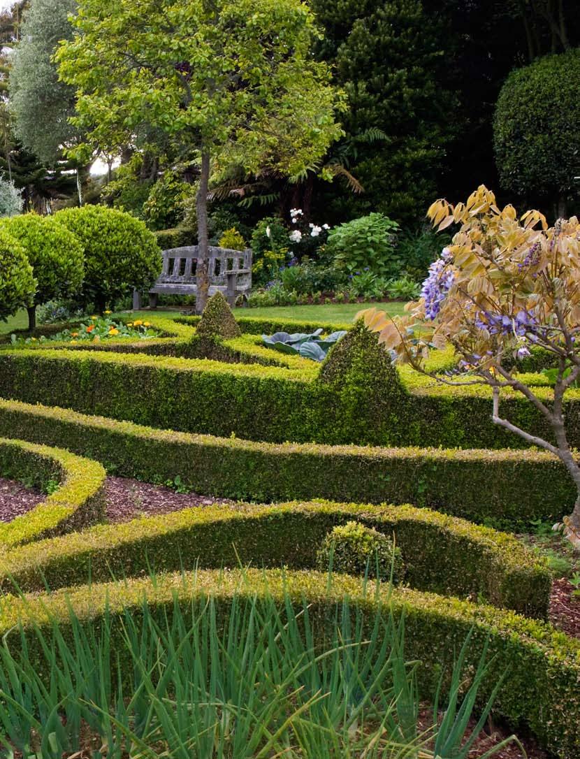 gardens Lay of the land A Hawera couple have created a tranquil garden that folds and flows