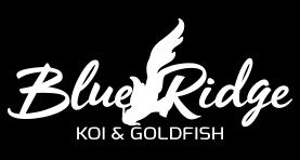 Please contact us for an updated list if yours is more than 1-2 business days old. Two half counts of different items can be packed together in one box. KOI PACK COUNTS KOI STANDARD GRADE 3-4" 2.