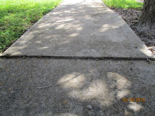 3. Sidewalks: a. A raised sidewalk panel was observed in front of 172 Venus Cay.