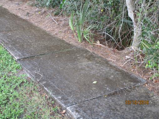 grinded down. b. Two raised sidewalk panels were observed close to the Cays Drive & Wilderness Cay intersection.