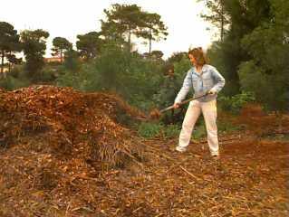 Composting Process: Aeration Mixing the pile once or twice a month