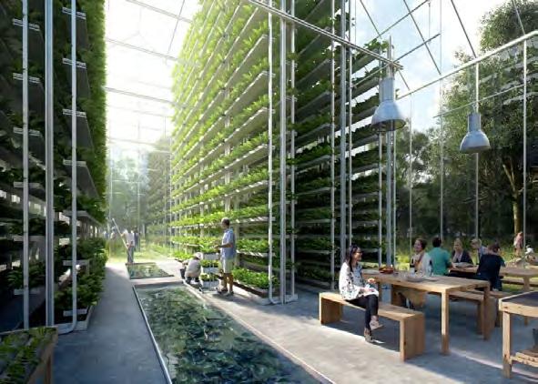 Environmental Sustainability (cont.) Hydroponic growing of food and crops would be popular in many residential complexes and public buildings.