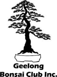GEELONG BONSAI CLUB INCORPORATED MONTHLY NEWSLETTER JUNE NEWS 2018 A WORKSHOP MEETING At this meeting (and only this meeting in 2018) as last year we will be selling pots at half price.
