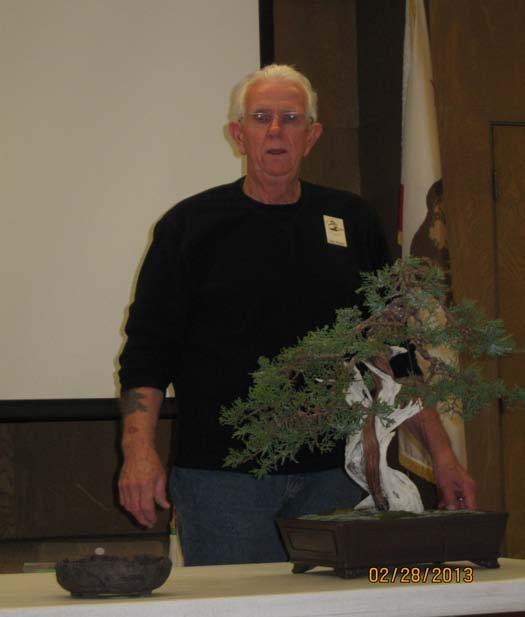 Member Bob Bugay has studied with some of the most prestigious bonsai teachers and is a past member of the Midori Bonsai Club.