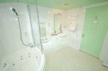 shaped panelled bath with shower over off the mixer taps,