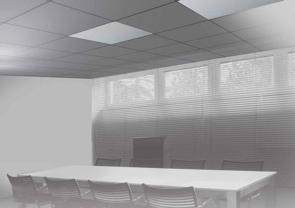 ecosun Ecosun low-temperature radiant panels These panels are designed mainly for the heating of offices and shops.
