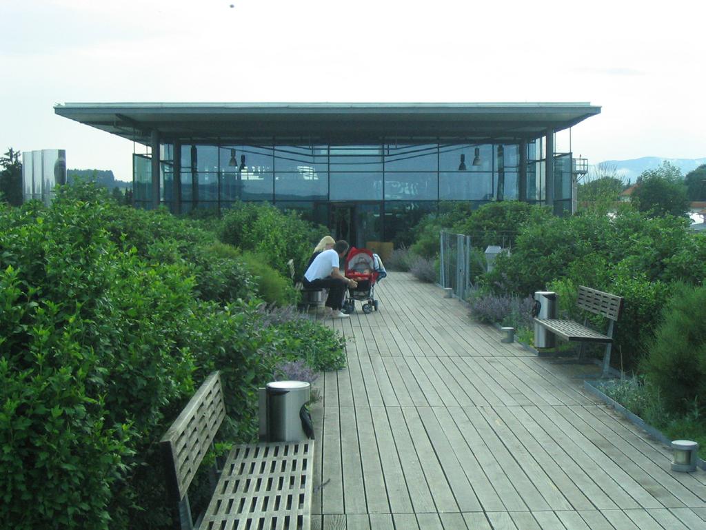 Overall Design Strategy Precedents of Roof Gardens in Hospital Design (cont.