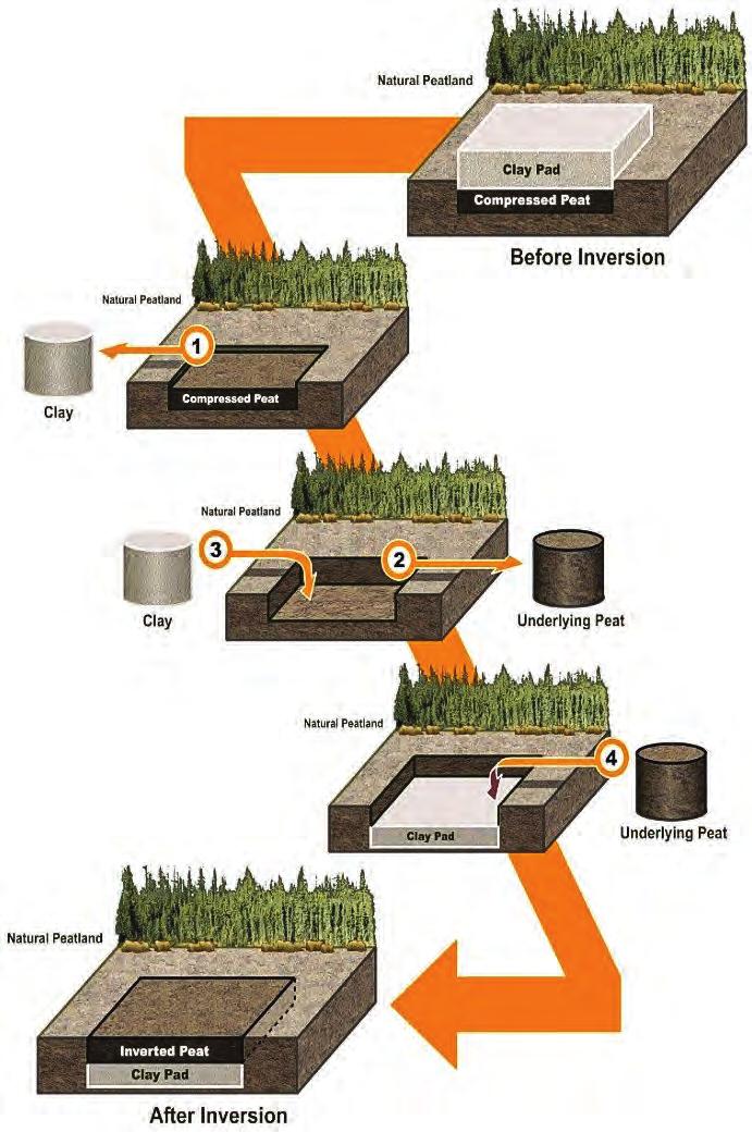 APPROACH 2 CLAY INVERSION MULTI-STEP BURIAL OF CLAY BENEATH INVERTED PEAT (SHALLOW PEAT) In areas with shallow underlying peat, fluffing alone was insufficient to raise the exposed peat to the