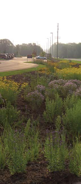 ARMC: Ensuring the Health of Amery s Residents and Water Resources The rain garden captures parking lot runoff after a summer storm.