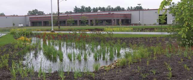 Since the new hospital is located so near the Apple River, and inevitably included significant areas of impervious surfaces, controlling stormwater was of paramount importance.