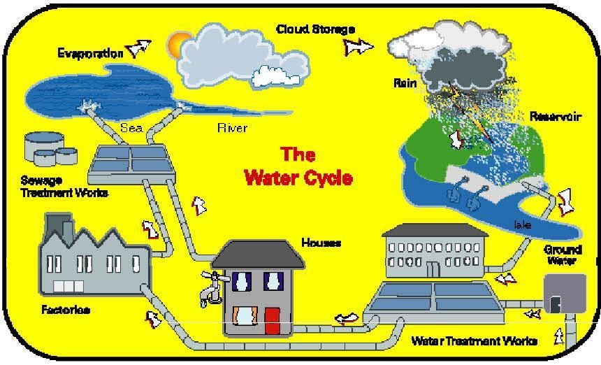 Discuss with children the different ways to minimise water consumption Brainstorm water saving activities with the children Discuss how water gets to our taps Rain Gutters Tanks Pipes Rivers