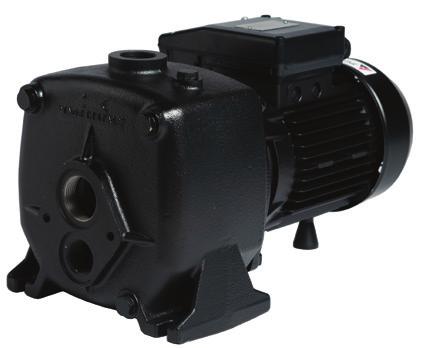 Capable of very high pressures and operation to significant depths, with choice of injectors, this pump design