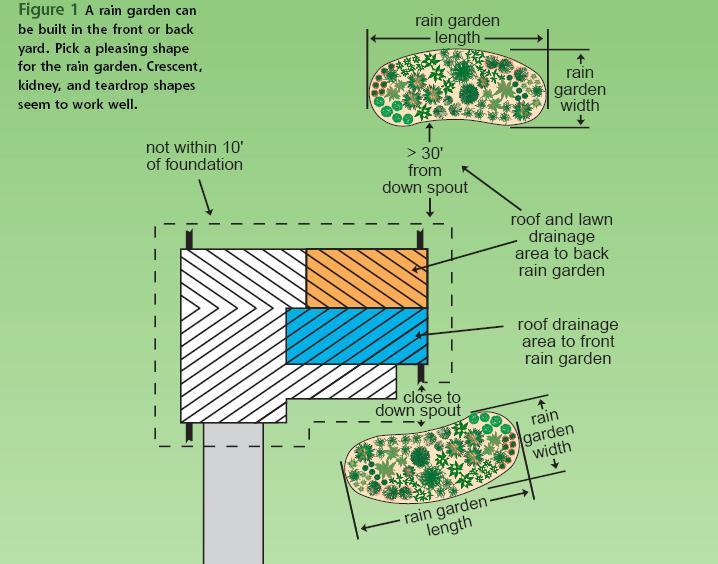 Rain Gardens Determine Size Designed to hold and absorb a one inch rainfall over 24 hours Based on the size of