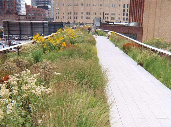 Green Roofs Some Critical Elements Roof design Climate