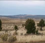 Creek Basin and includes a large amount of visual variety with Piñon-Juniper forests in the southeast portion, Sage shrublands in most of the valley floors, and Ponderosa Pine forests visible in the