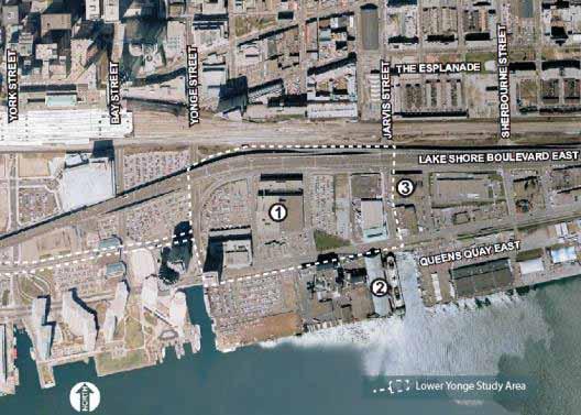 Waterfront Toronto / Perkins + Will Lower Yonge Transportation Master Plan Environmental Assessment potential, it was found that there is no potential for the survival and recovery of Aboriginal