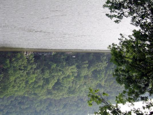 Photo 5: FR, Falls Dam SE to UNF