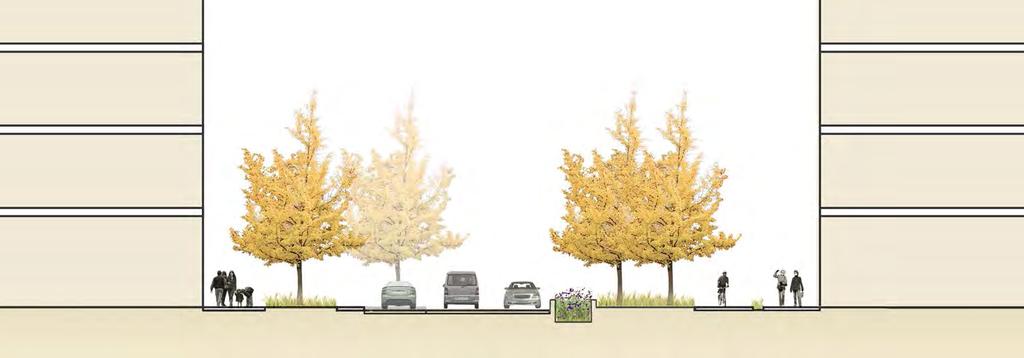 Public Realm Avenue Footway Avenue Trees Footway Parking Bays Carriageway Bio-Retention Avenue Trees Cycle
