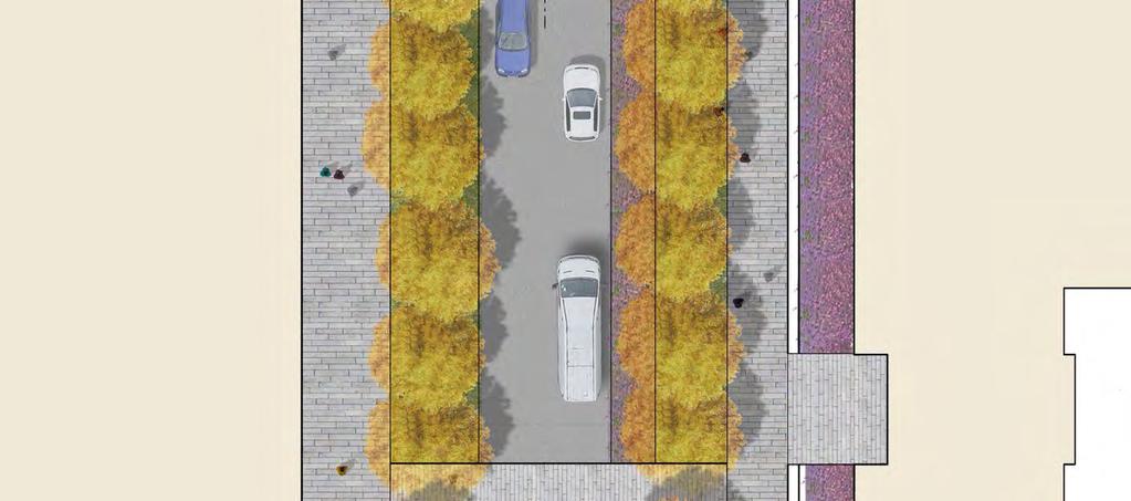 As primary vehicular circulation routes, they have a simple landscape treatment, comprising of single avenues of trees set within a verge of ornamental grasses and a bio-retention rain garden, which