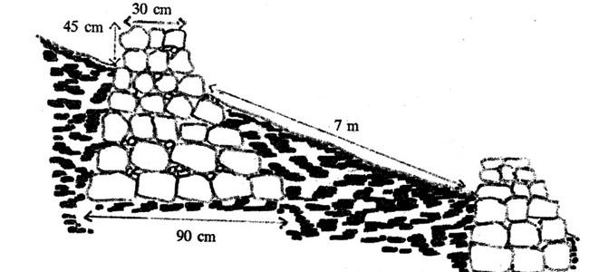 Fig. 3. SUMMARY Land preparation should be completed before the monsoon. Planting should be done on the contour on steep or undulating land.