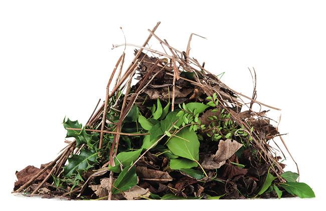 Green Waste Make life easier by getting all your garden waste collected from your home.