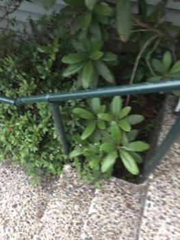 Loose guardrail/handrail,