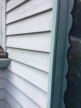 1. Siding Condition Exterior Areas Siding appeared