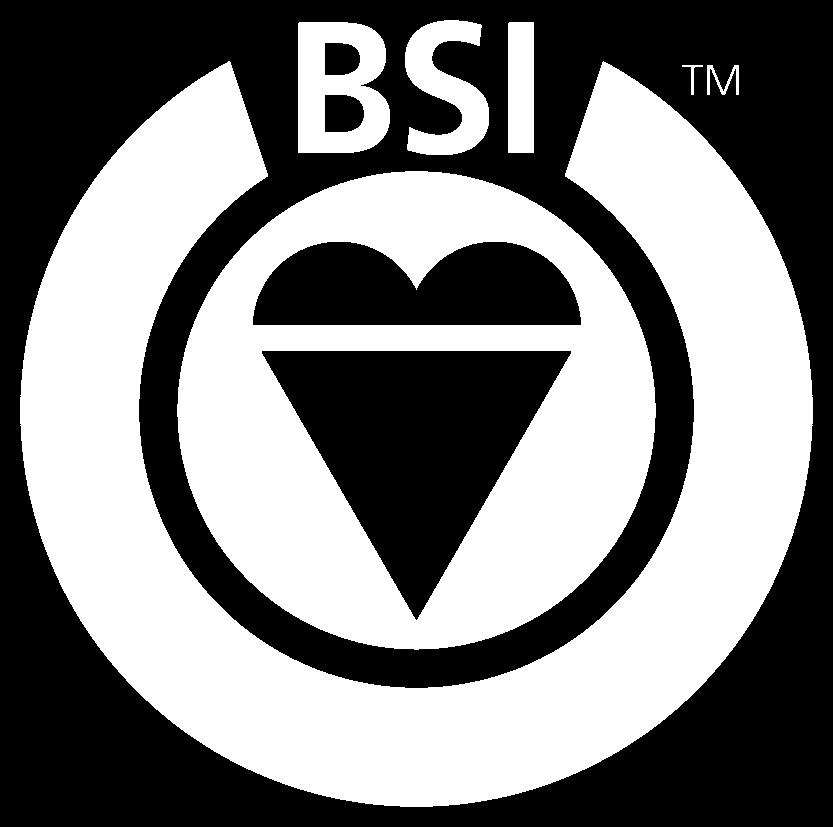 For and on behalf of BSI: Managing Director, BSI Management Systems (CEMEA) Originally registered: 18/02/1994 Latest Issue: 30/03/2007