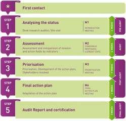 THE ADVANCE AUDIT The five main steps of the ADVANCE Audit